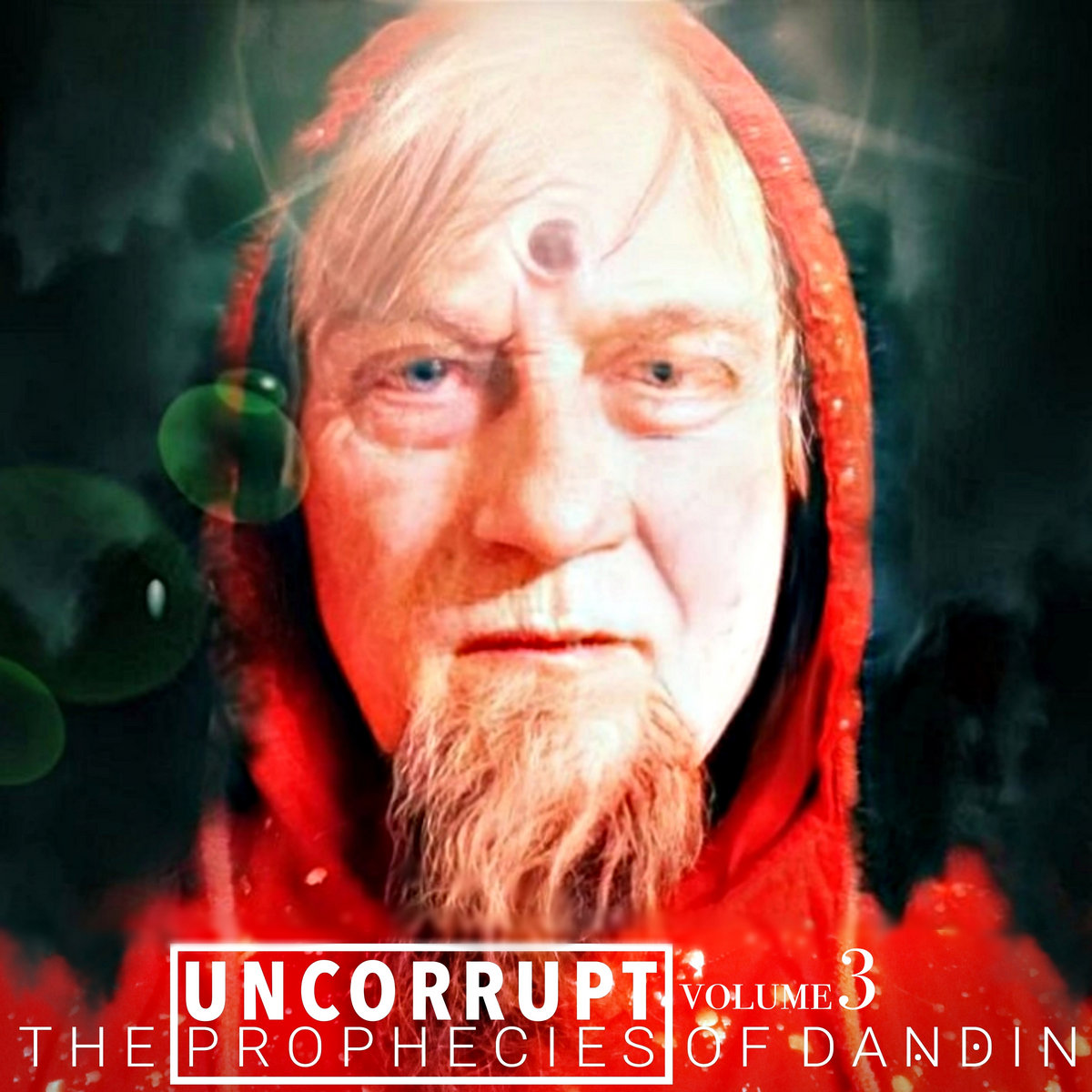 Sacred Canopy Daṇḍin