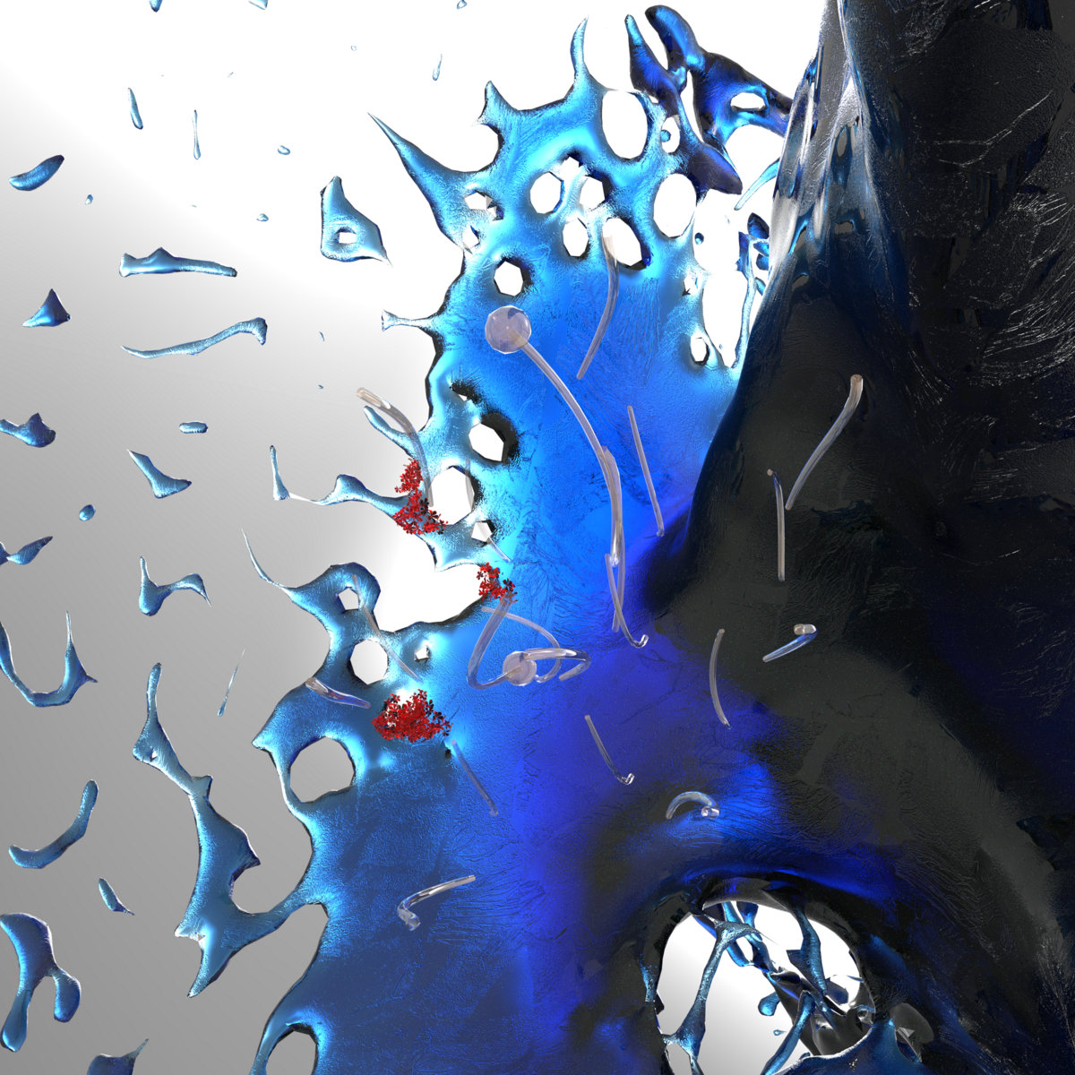 Flowers That Never Bloom Glass Bystander zaaang