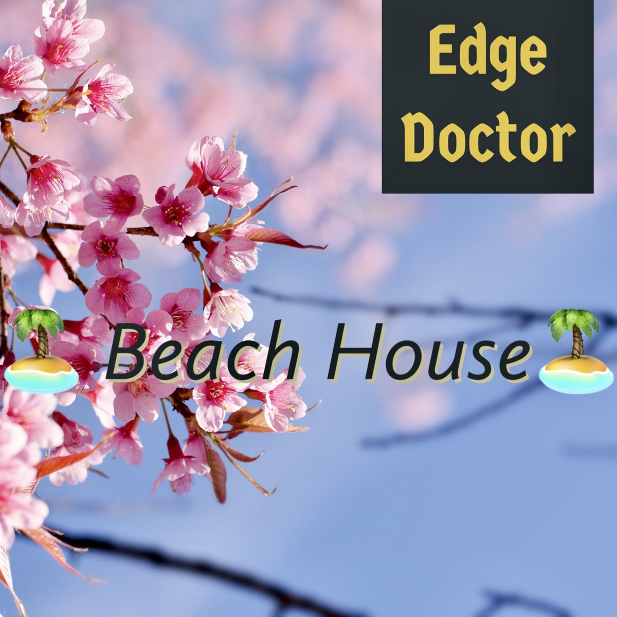 Beach House Edge Doctor