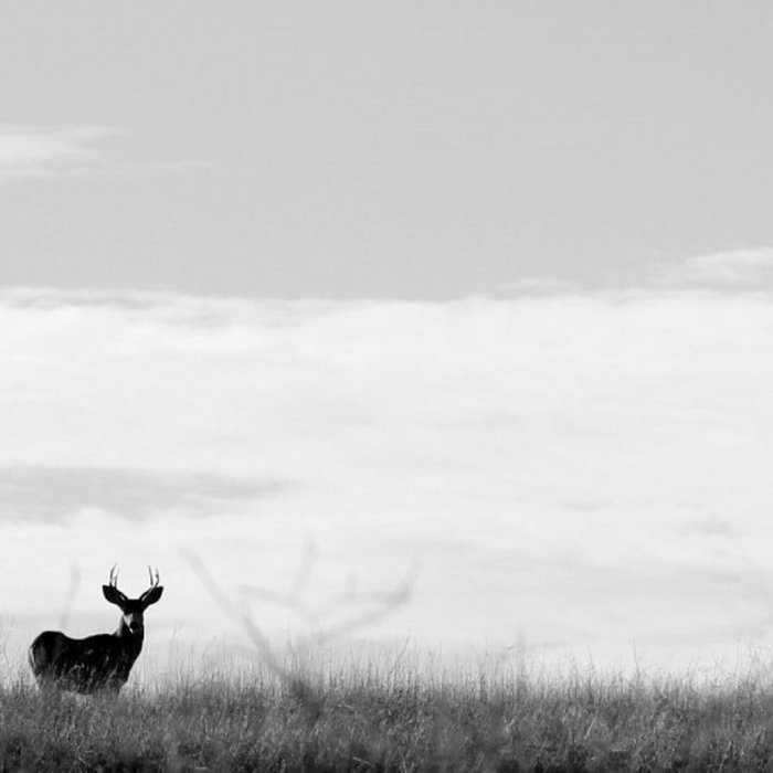 First Album (2015) Underground Dogs