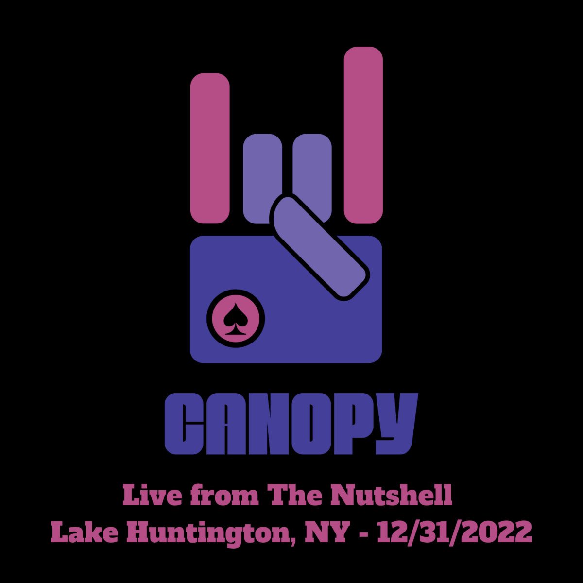 Canopy Live from The Nutshell Lake Huntington, NY 12312022 Canopy