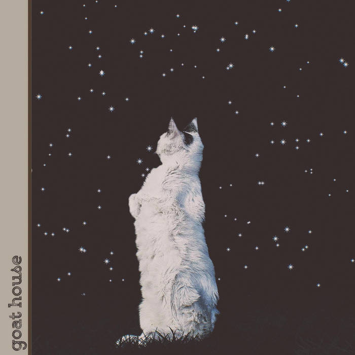 dogs at the waterpark goat house