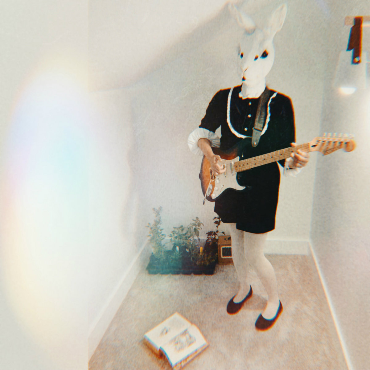 Rabbit Hole Day & Dream