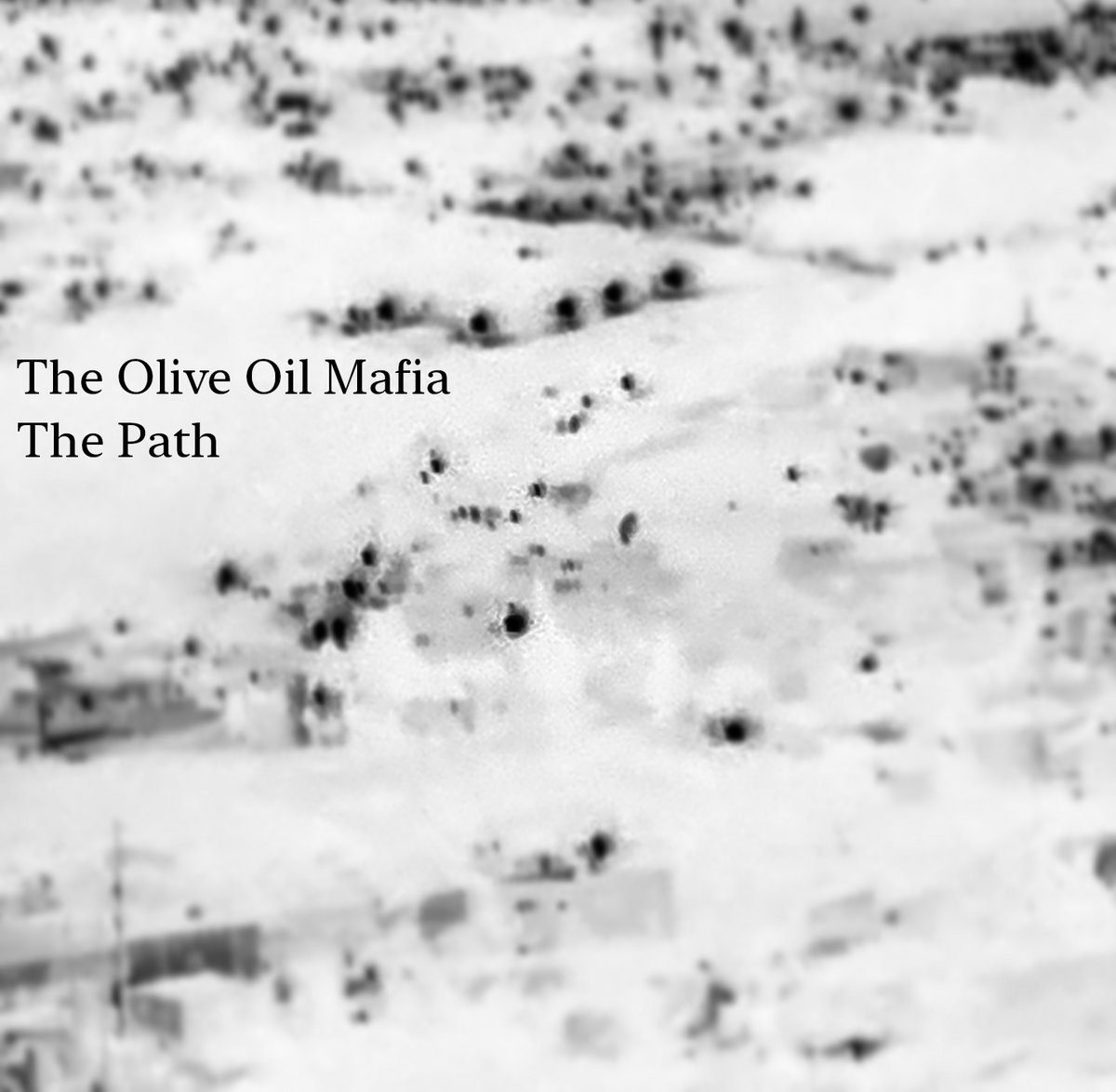 The Path The Olive Oil Mafia