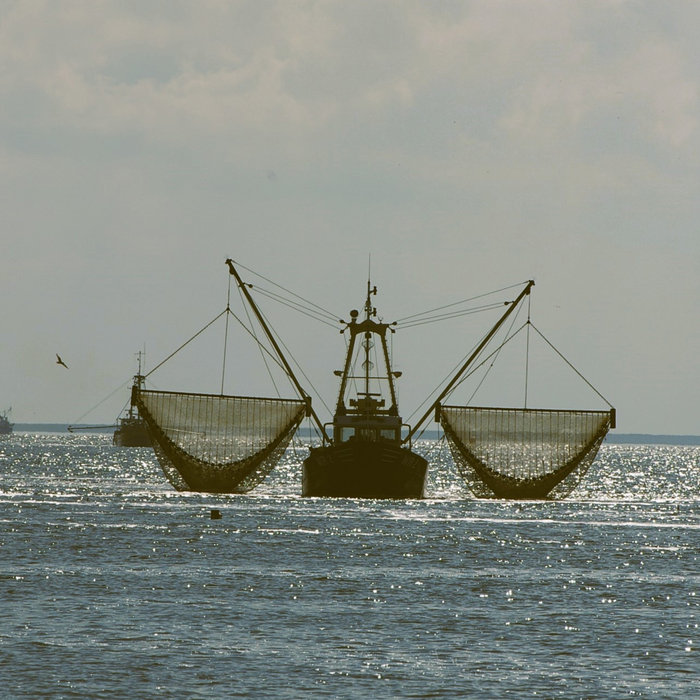 Shrimp Boat Chocolate Jesus 702