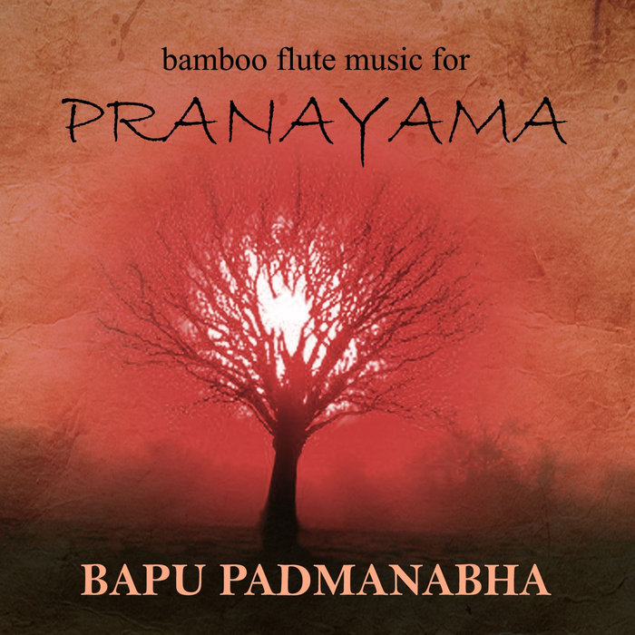 Bamboo Flute Music for PRANAYAMA Bapu Padmanabha