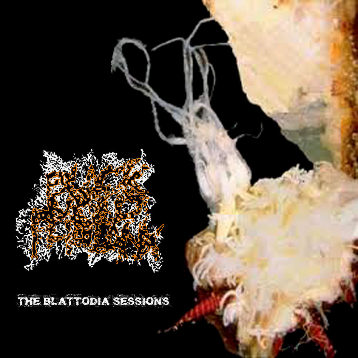 BLACK MOLD PHALLANX "THE BLATTODIA SESSIONS" Cat Basket Recordings