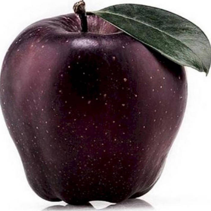 Tibetan Apple Apple Apple Appsolute