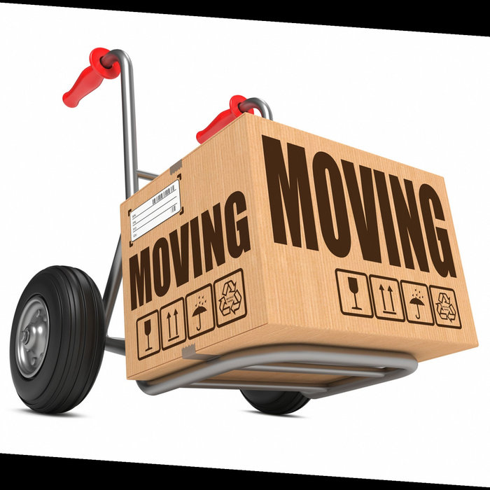 Cheap moving pods companies cheap moving pods companies Sarah Collins