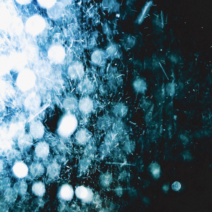 Lost Bets | Lost Bets