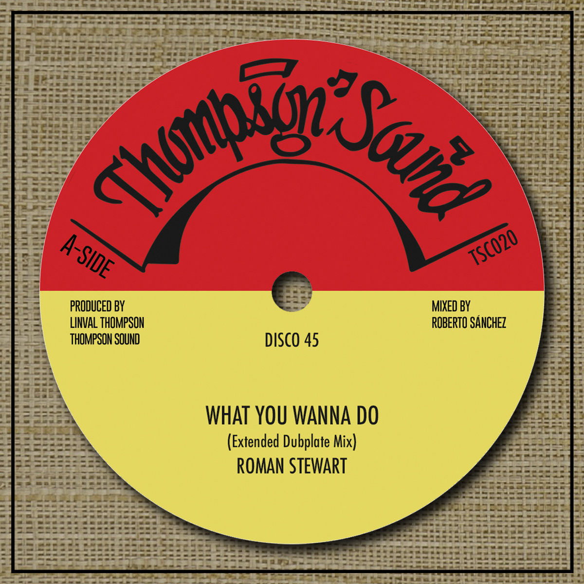 12'' Roman Stewart What You Wanna Do / Nazamba Africa ALONE REGGAE