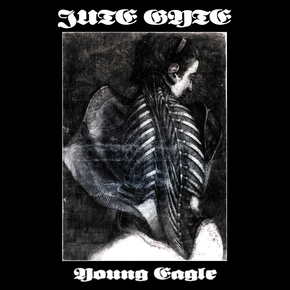 Young Eagle Jute Gyte