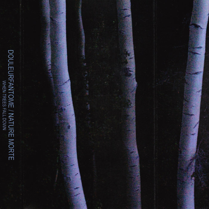 When Trees Fall Down Douleurfantome & Nature Morte Nature Morte