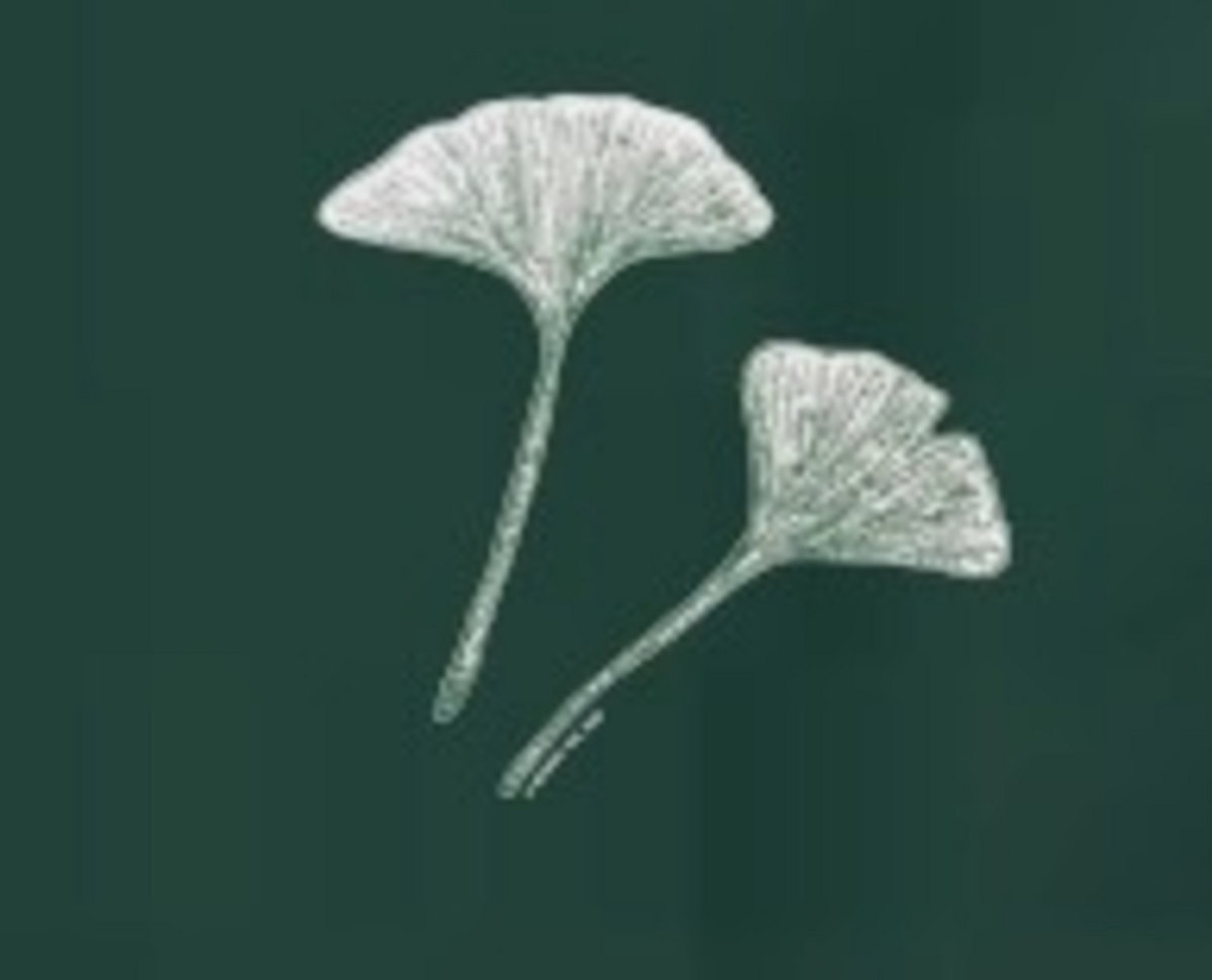 with a girl like you cover tis a gift