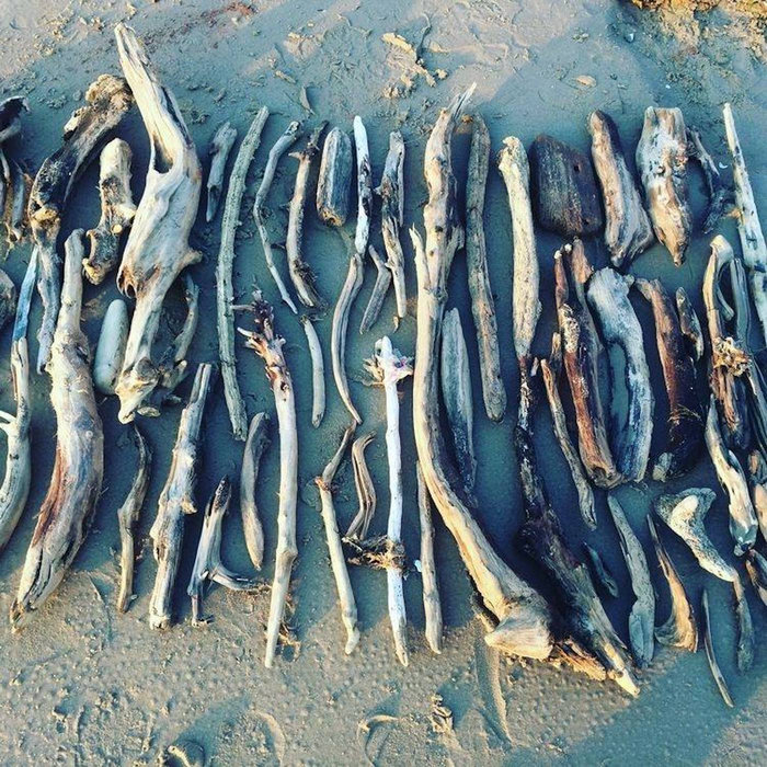 Field Recording Vol 1 Soft Power