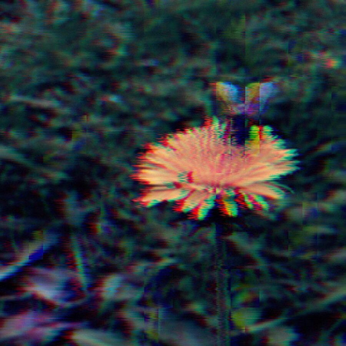 flowers, heartbreak, etc. GOVVNS