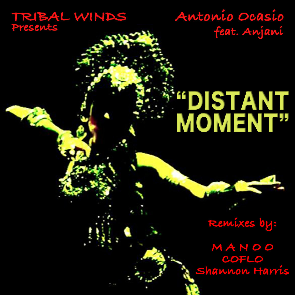Antonio Ocasio Distant Moment feat. Anjani (original version
