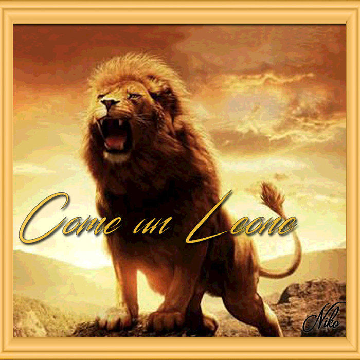 Come Un Leone Niko