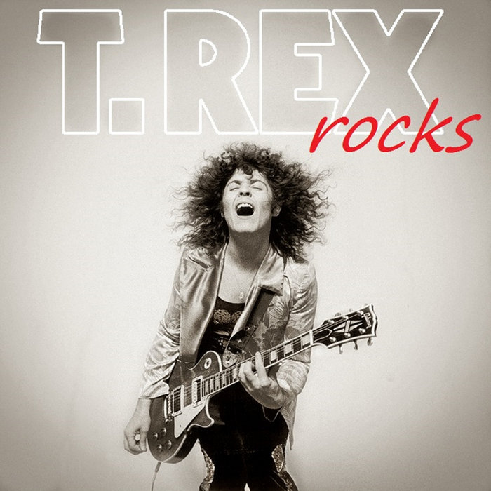 T.REX ROCKS T.Rex Bolan Boogie