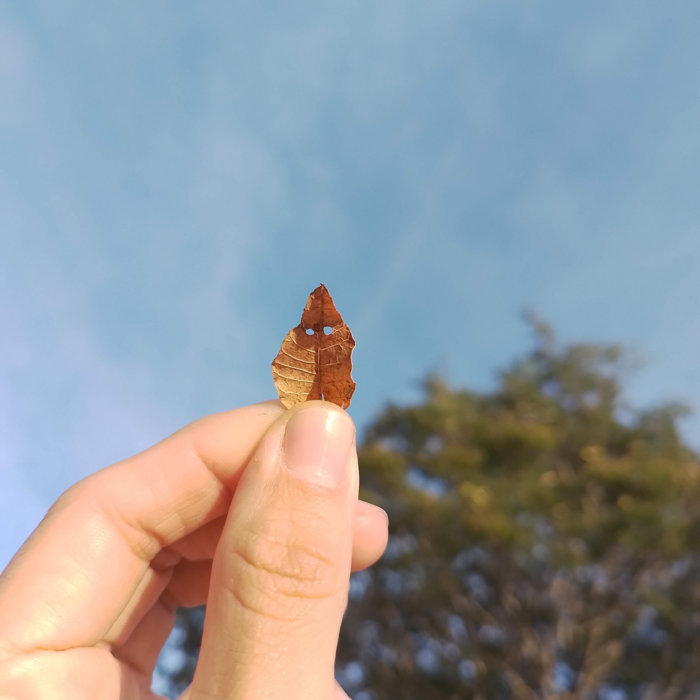 Ozzo Ukumari Bibosi y Motacú Manual para un Nuevo Barrio . Archive