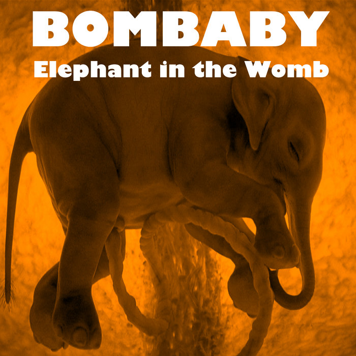 Elephant in the Womb Bombaby