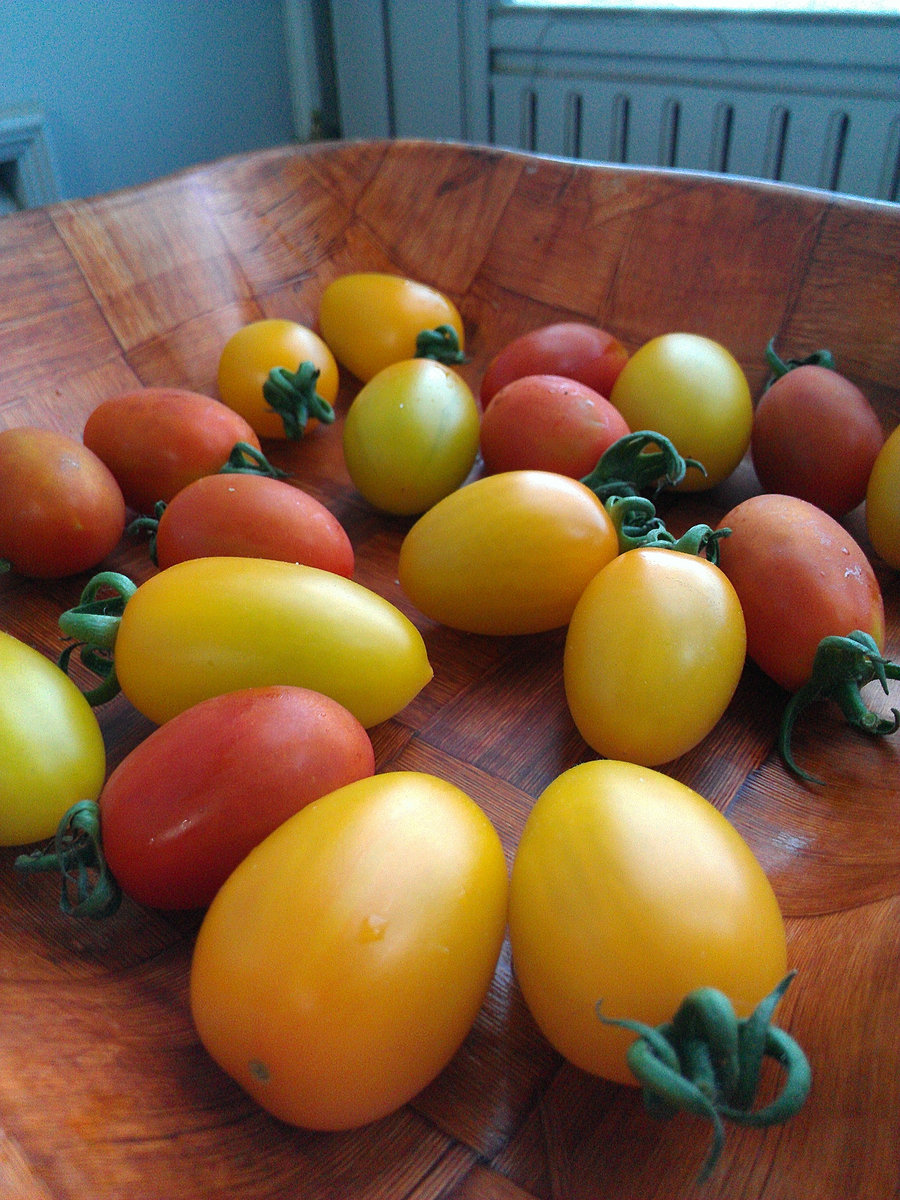 Moldy Peaches Who's Got The Crack Chords On Guitar Erlikasi