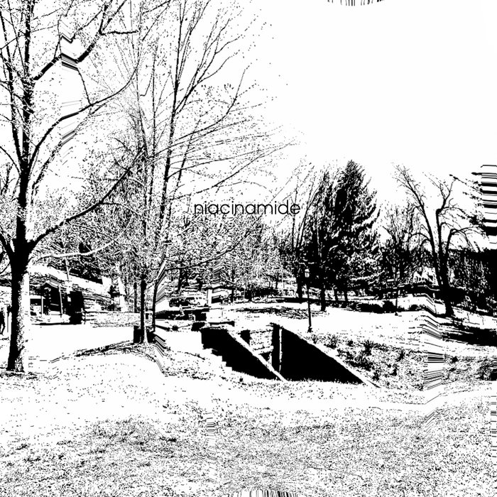 Niacinamide Something Called Patriots Park, Sleepy Hollow. A Field