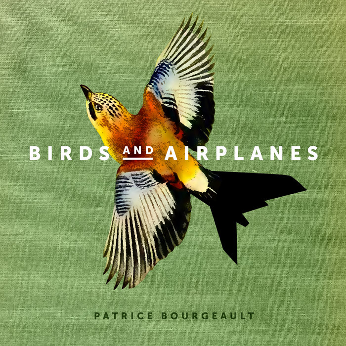 Birds and Airplanes Patrice Bourgeault