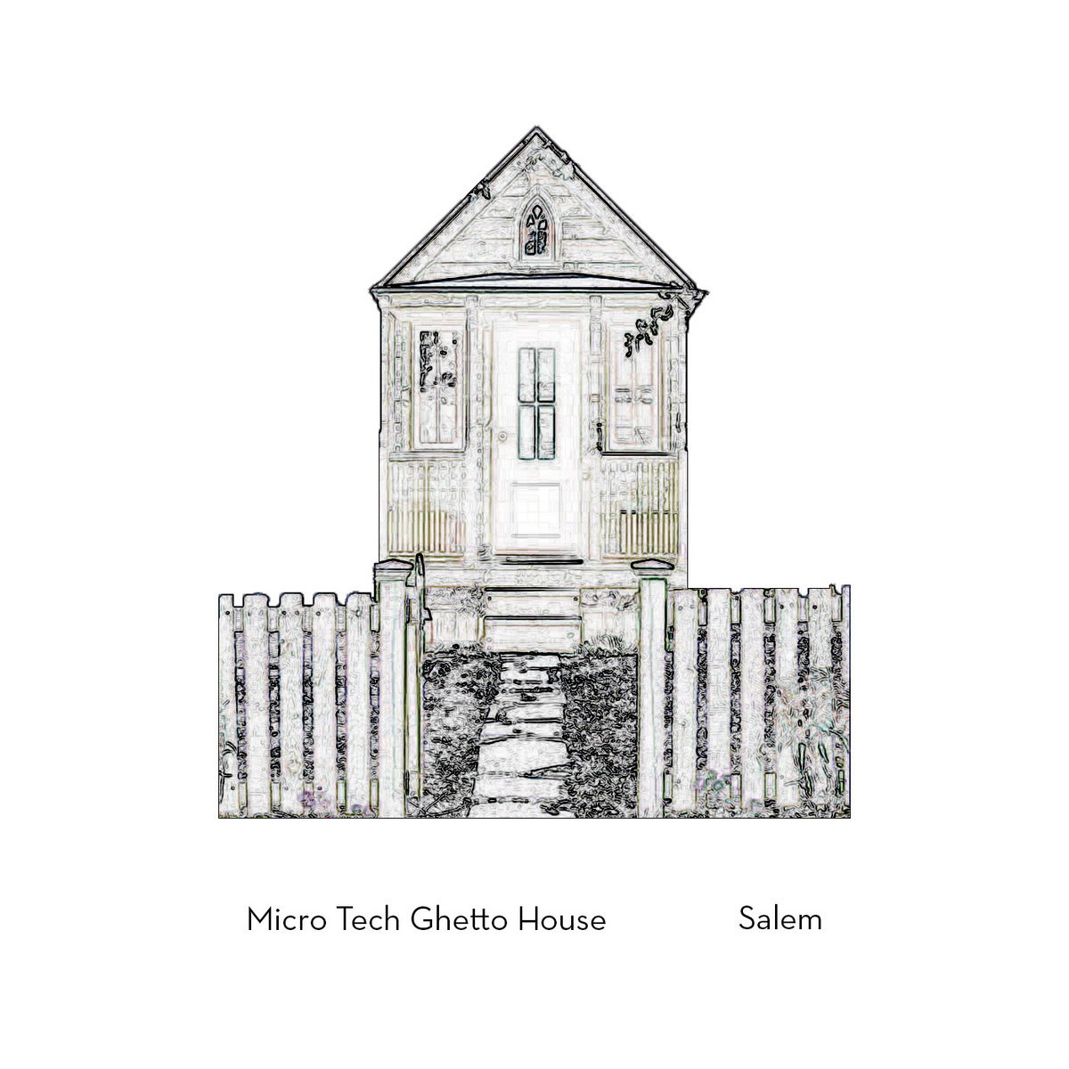 MicroTech Ghetto House Salem