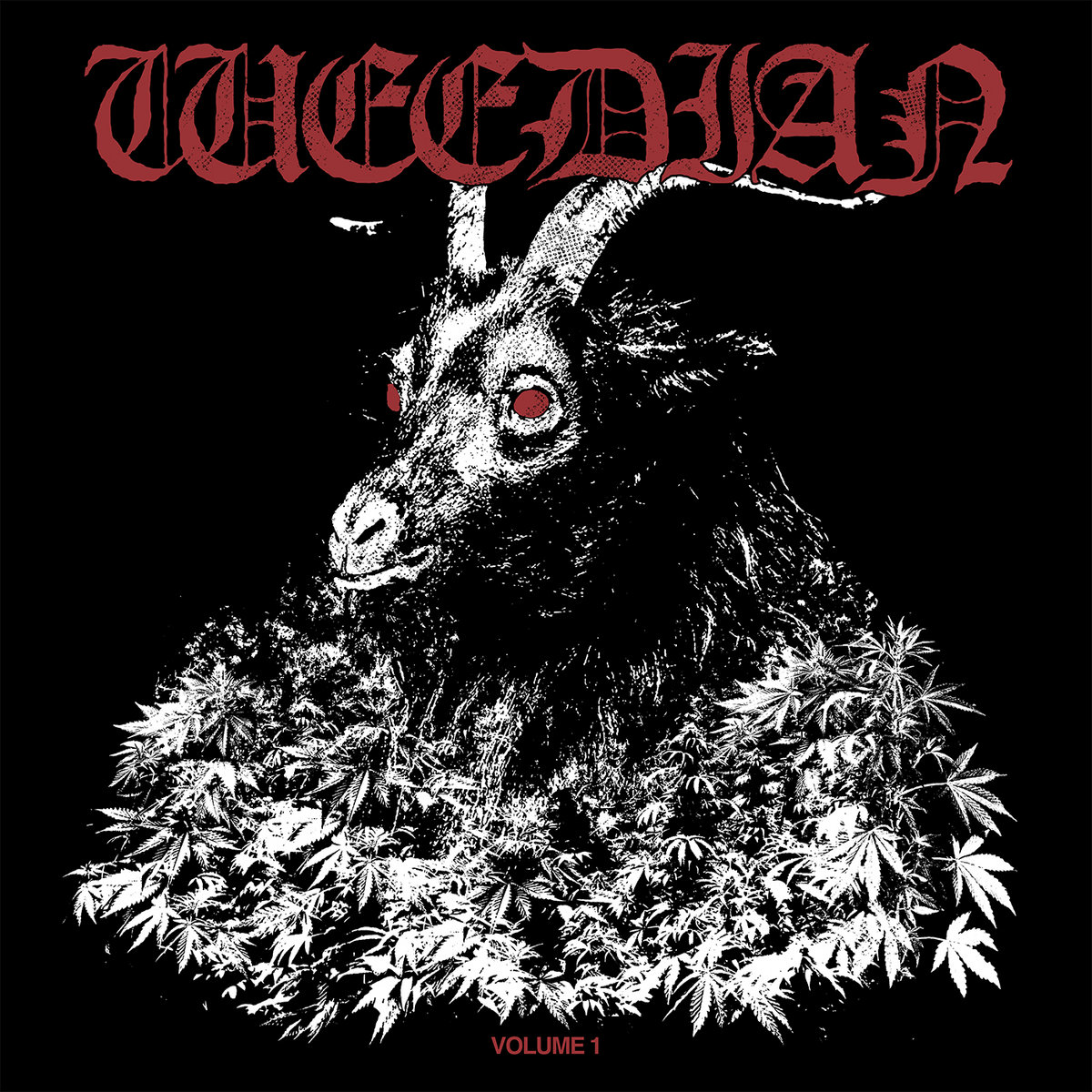 Stream Interview | Bees Made Honey In The Vein Tree Bei Hertz For Nerds Auf Horads 88,6 By Horads 88,6 | Listen Online For Free On Soundcloud Bees Made Honey In The Vein Tree - Grandmother | Various Artists | Weedian