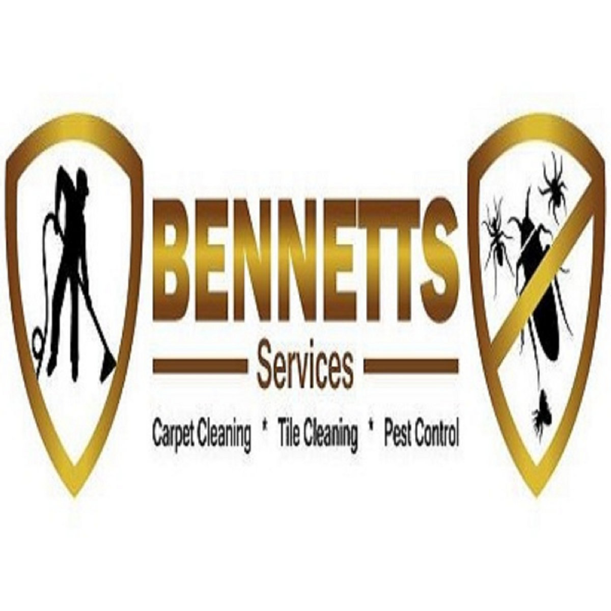 S Carpet Cleaning Carpet Vidalondon