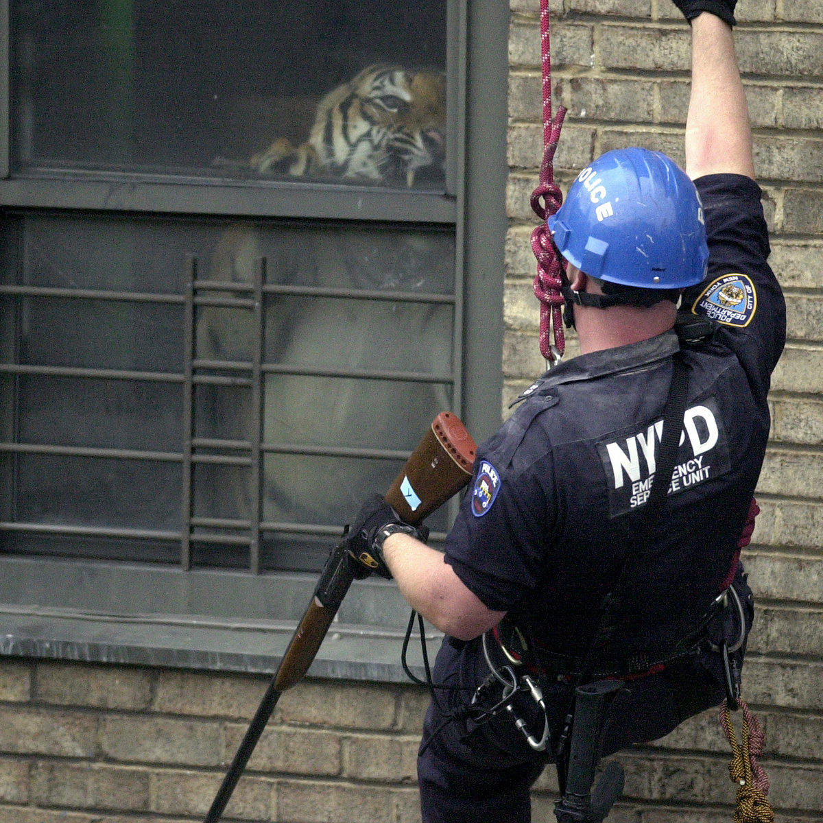 Armand Hammer and The Alchemist's 'Haram' Is Intricately Crafted New