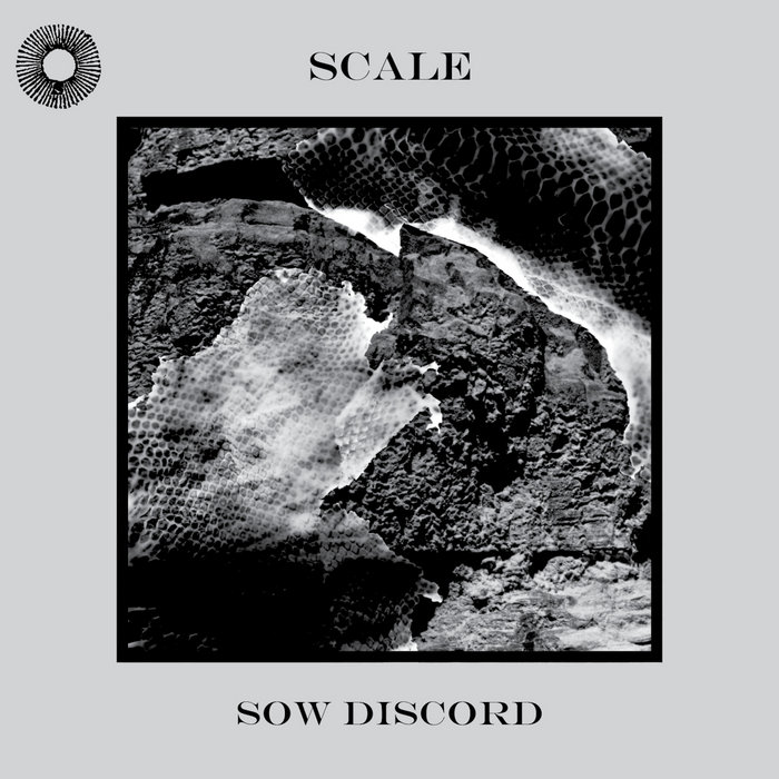 Scale Sow Discord