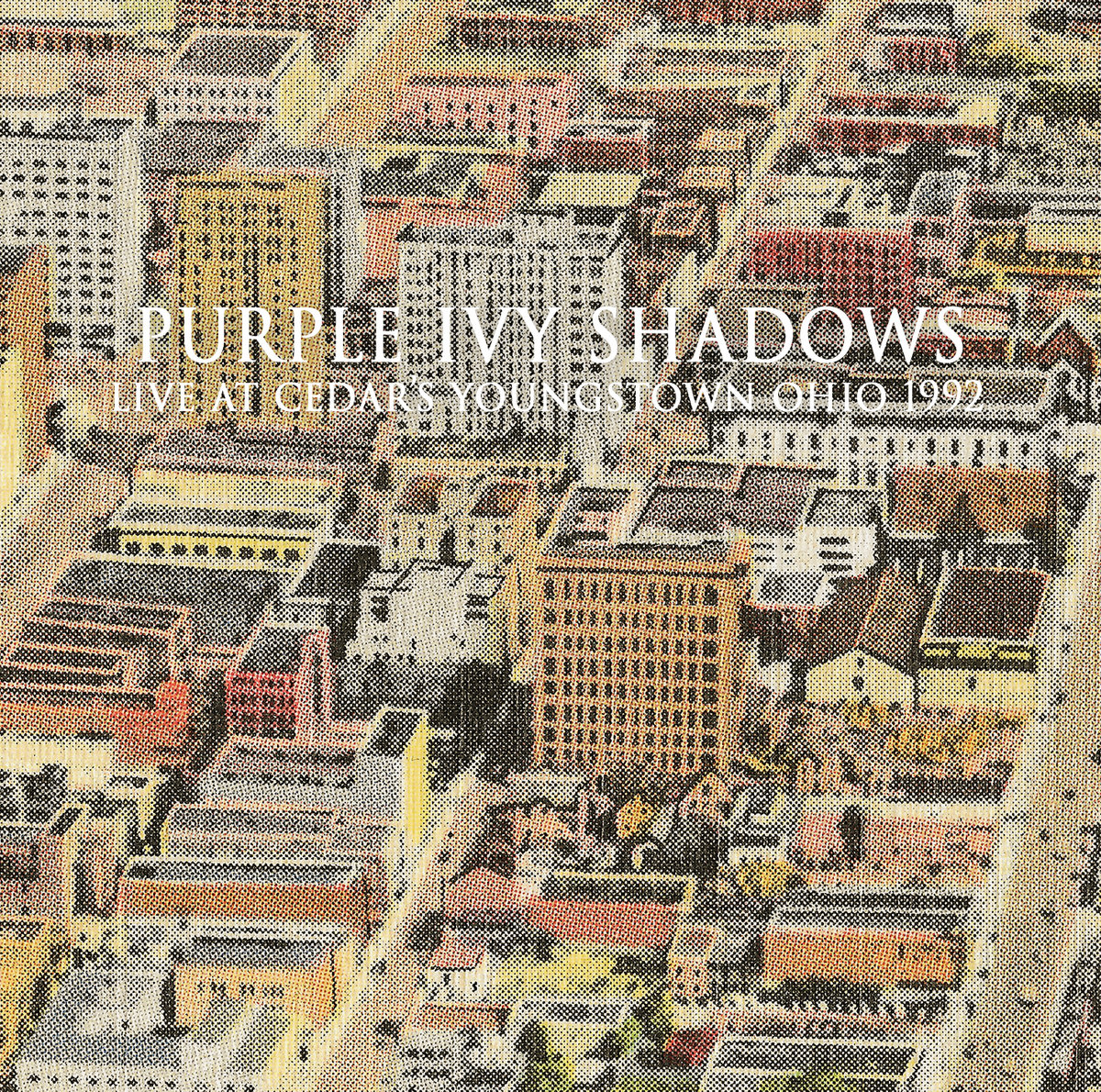 Live At Cedar's Youngstown Ohio 1992 Purple Ivy Shadows