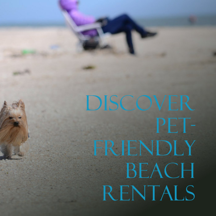 How to Find PetFriendly Beach Rentals Beaches