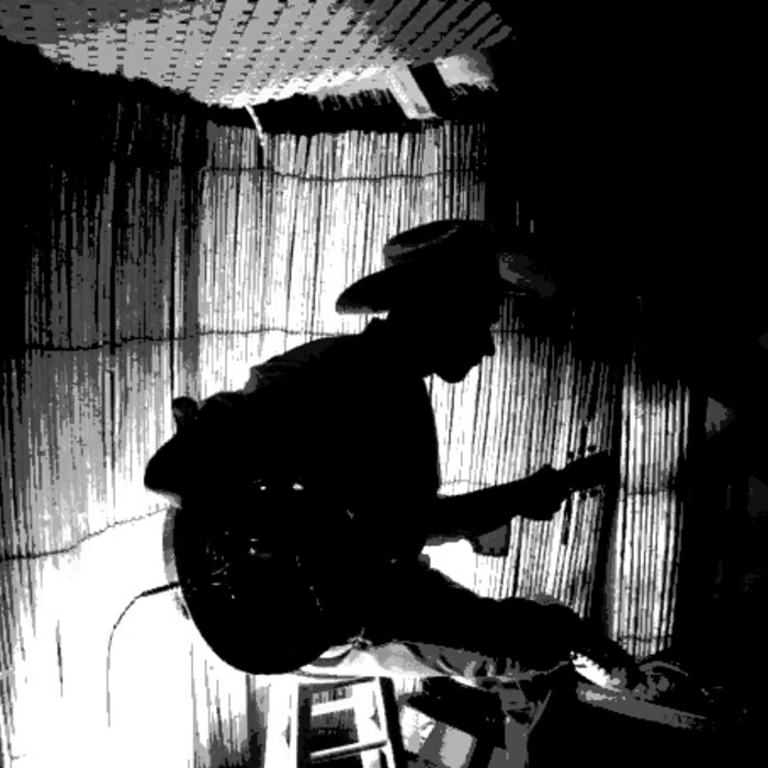 The Collection The Vinyl Collection