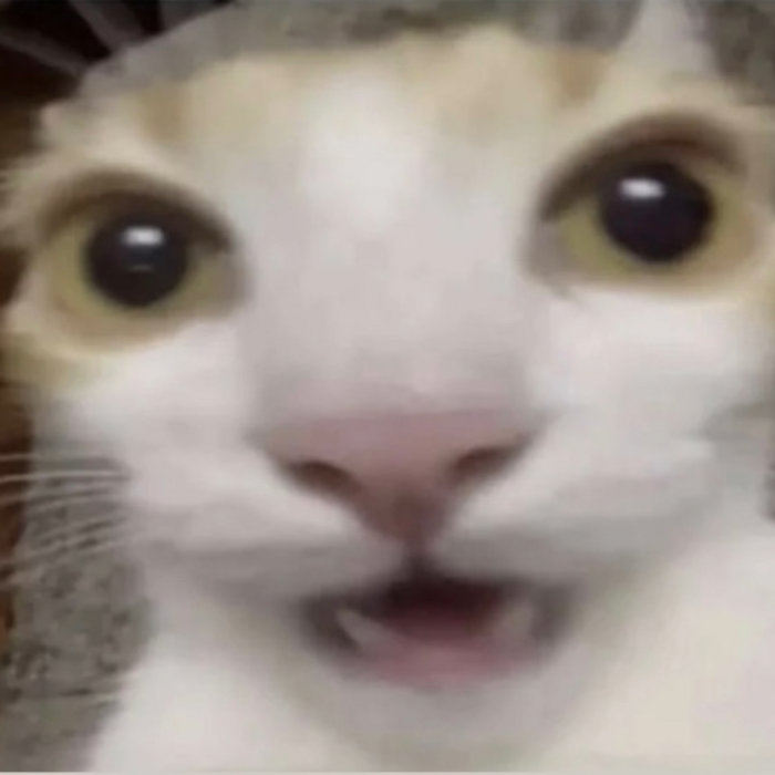 Chipi Chapa Dubi BOOM The Cat Meme Song (feat. Christell) aataGila