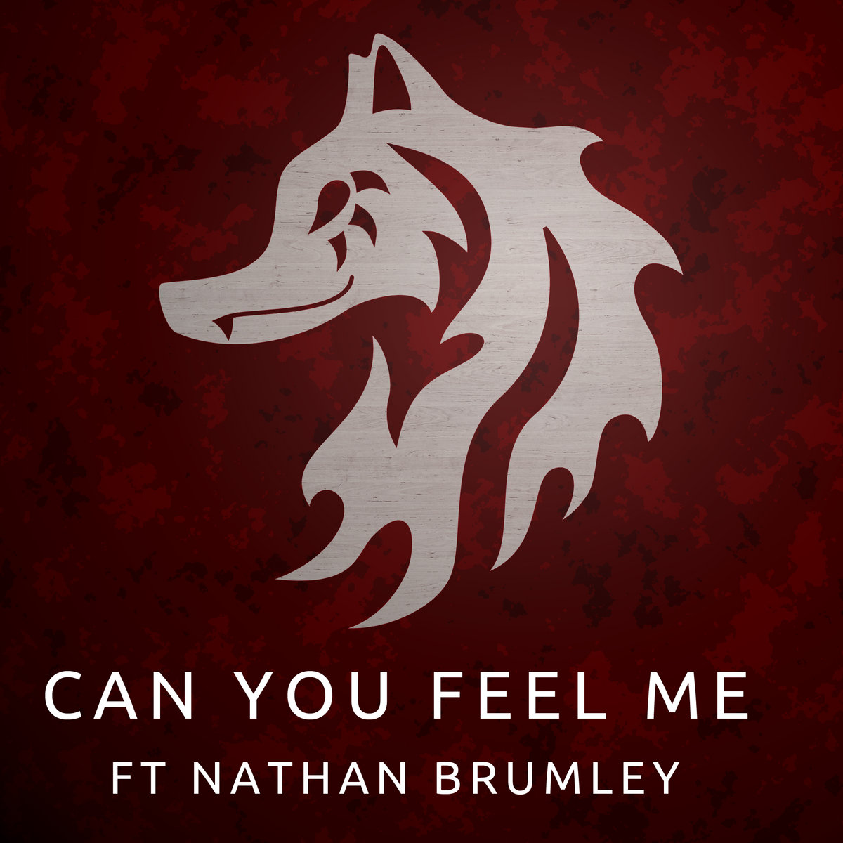 Can You Feel Me (ft Nathan Brumley) Wontolla