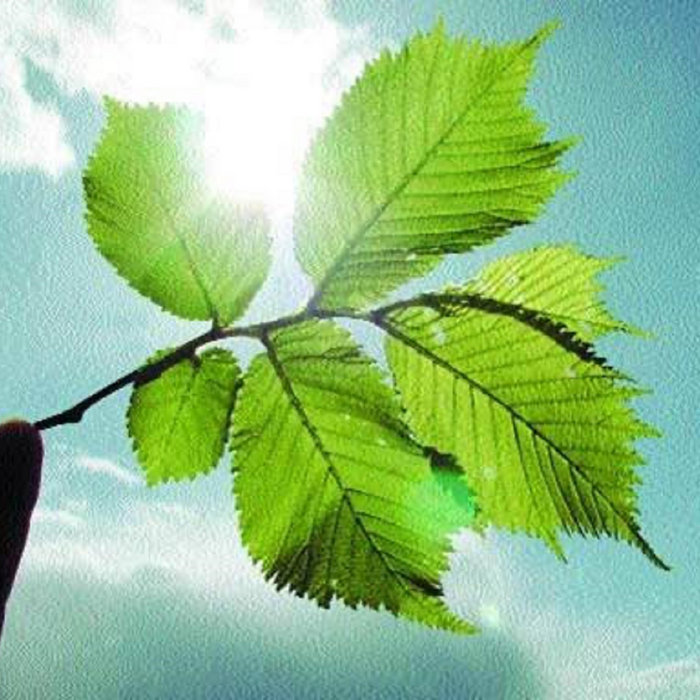 Blue sky thinking Stephen Irving