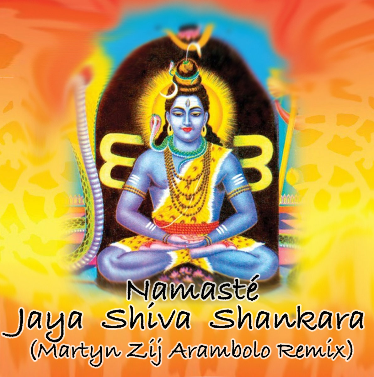 Namaste Jaya Shiva Shankara Boom (Martyn Zij Aramboom remix) Martyn Zij