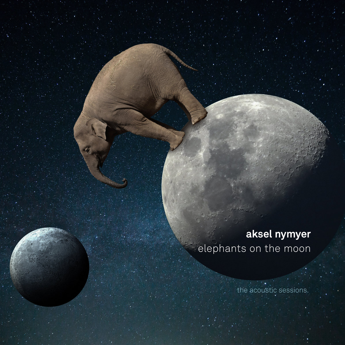 elephants on the moon aksel nymyer