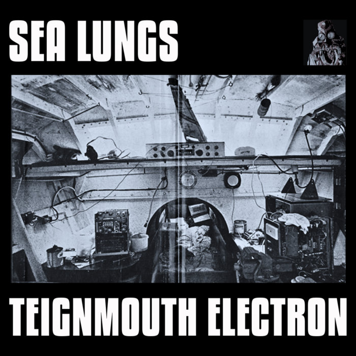 Teignmouth Electron Sea Lungs