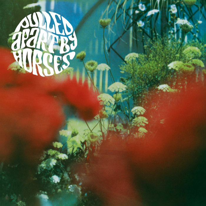 The Haze Pulled Apart By Horses