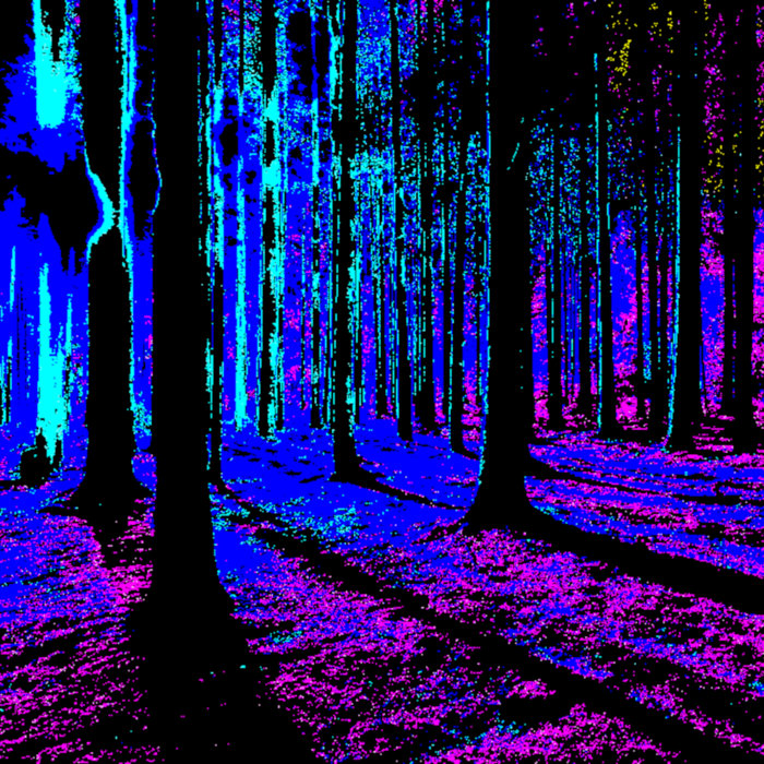 GOD\KING\EMPEROR IKNB tungs