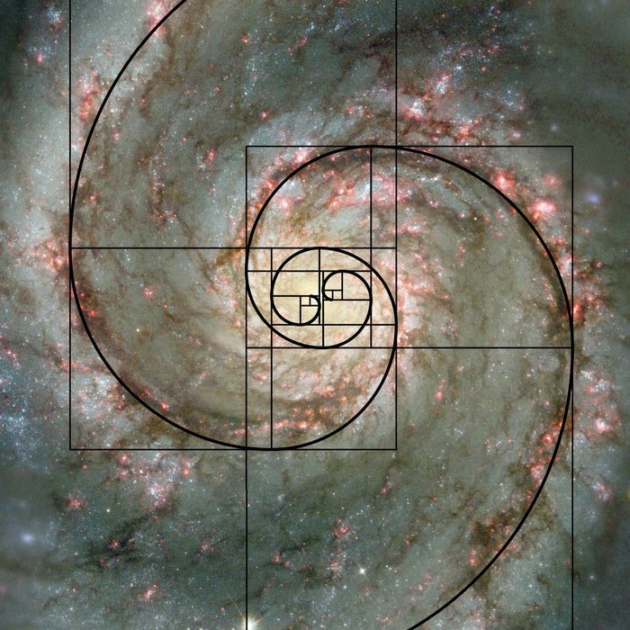The Common Occurrence of the Fibonacci Sequence in Nature Clayton De Haan