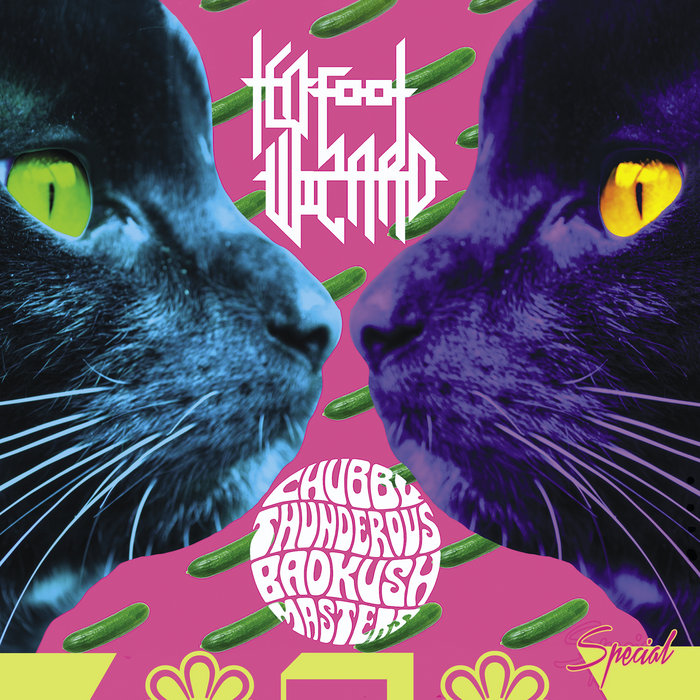 Special Ten Foot Wizard