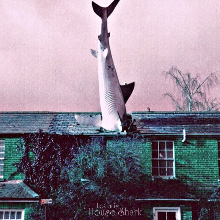 House Shark LoOmis