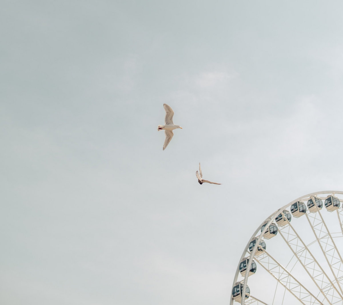 Low to High EP incl. digital bonus tune [Bandcamp Exclusive] Dubphone