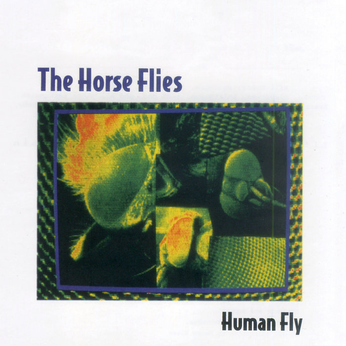 Human Fly The Horse Flies