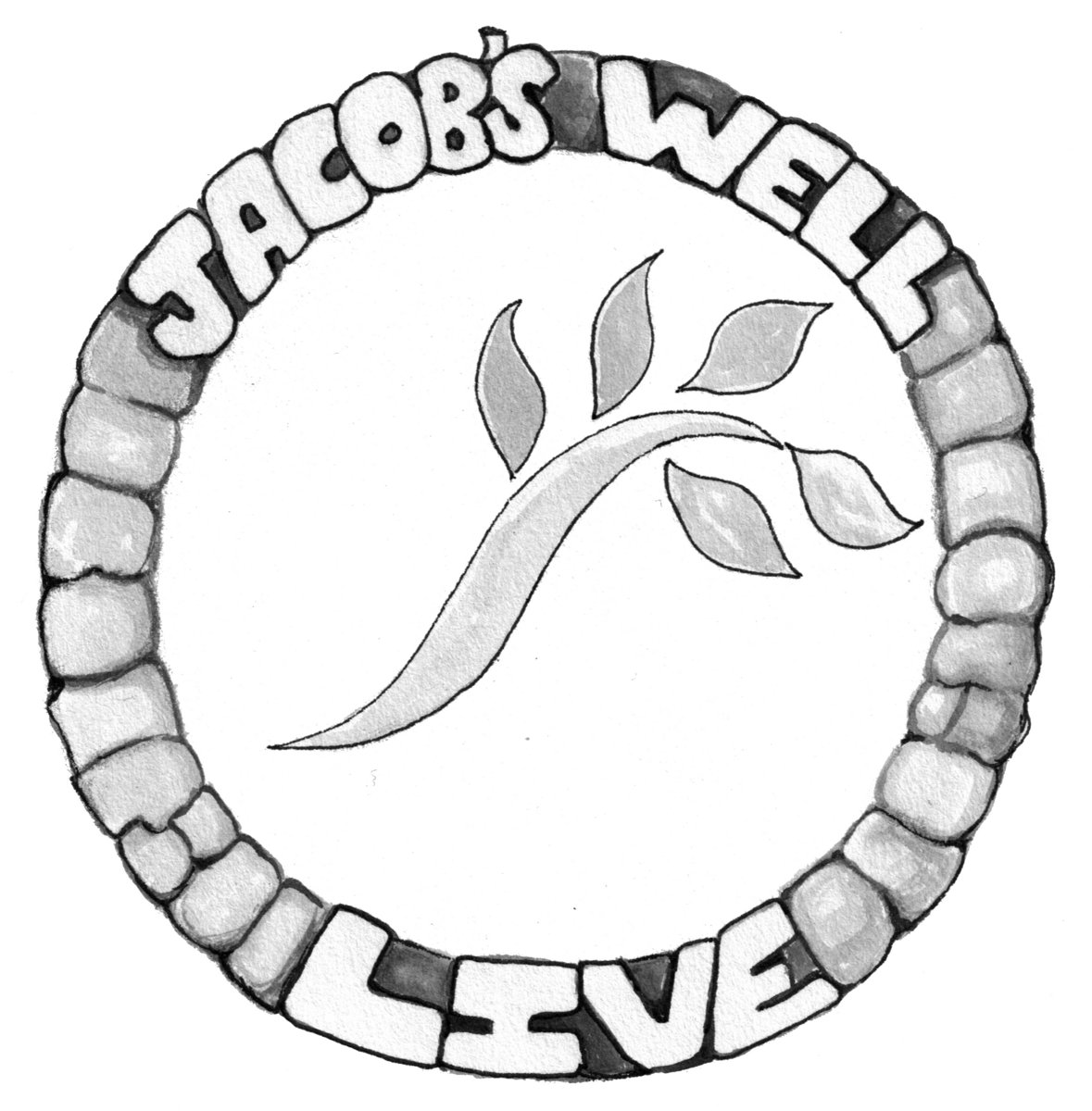 Jacob's Well Live Jacob's Well Live